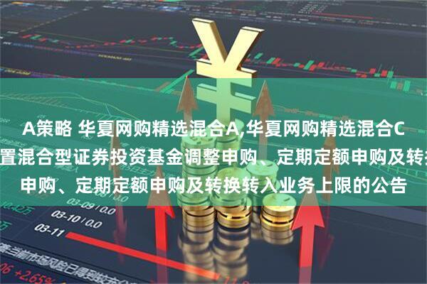 A策略 华夏网购精选混合A,华夏网购精选混合C: 华夏网购精选灵活配置混合型证券投资基金调整申购、定期定额申购及转换转入业务上限的公告