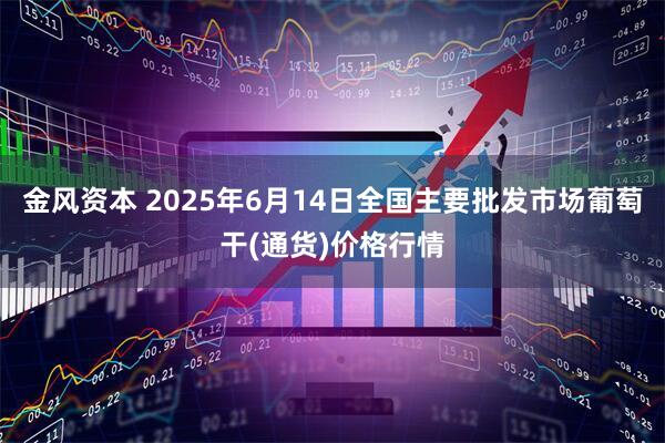 金风资本 2025年6月14日全国主要批发市场葡萄干(通货)价格行情