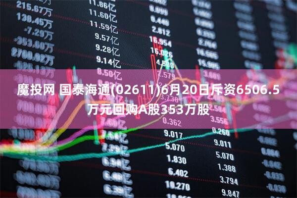 魔投网 国泰海通(02611)6月20日斥资6506.5万元回购A股353万股