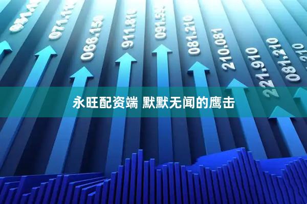 永旺配资端 默默无闻的鹰击